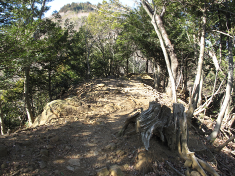 20170126hike (302)